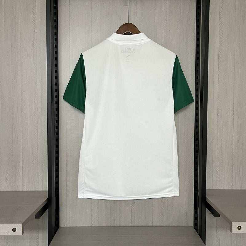 Camisa Palmeiras II 25/26