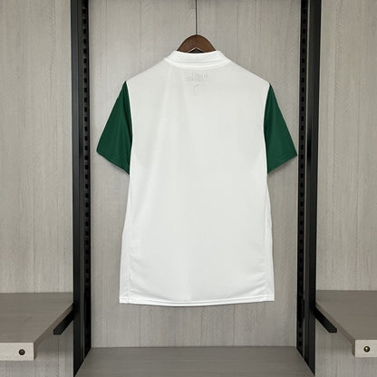 Camisa Palmeiras II 25/26